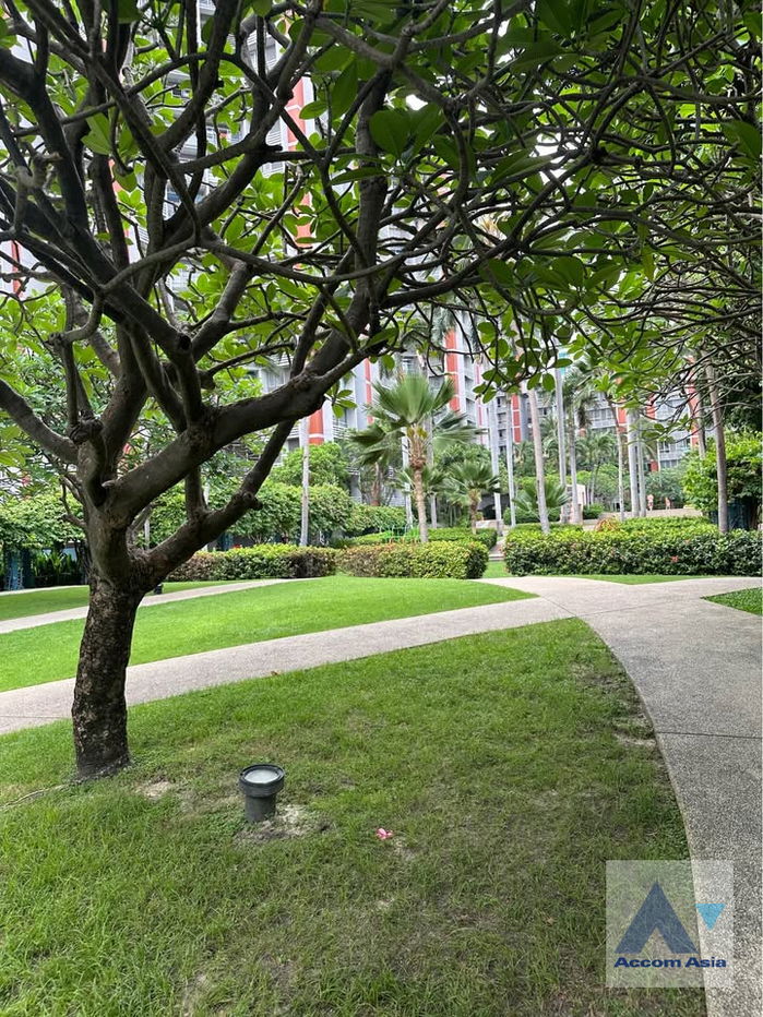 picture 🔼🔽 AccomA 📩  4 BR Condominium @Bangkok Garden Condominium (AA44085) - 11/11