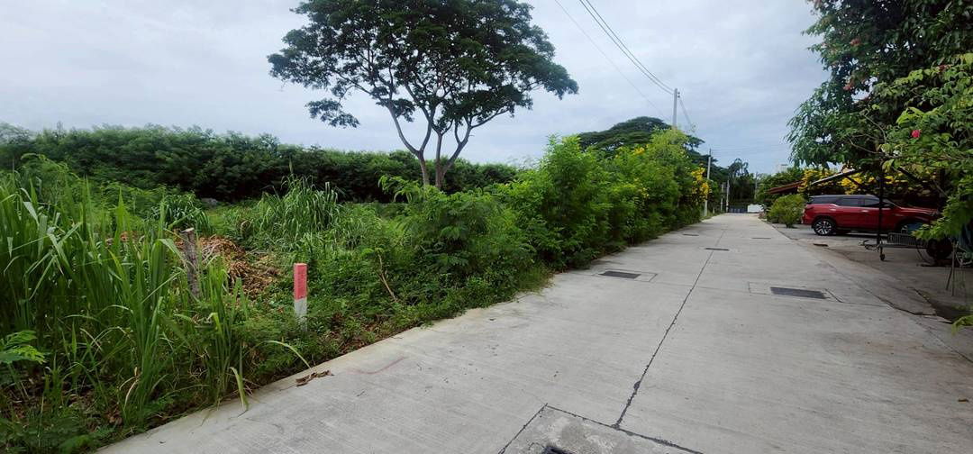 picture Land Jomtien Pattaya Beach Side in Soi Chaiyapruek and Soi Wat Boonkanjana  409square meters - 1/12