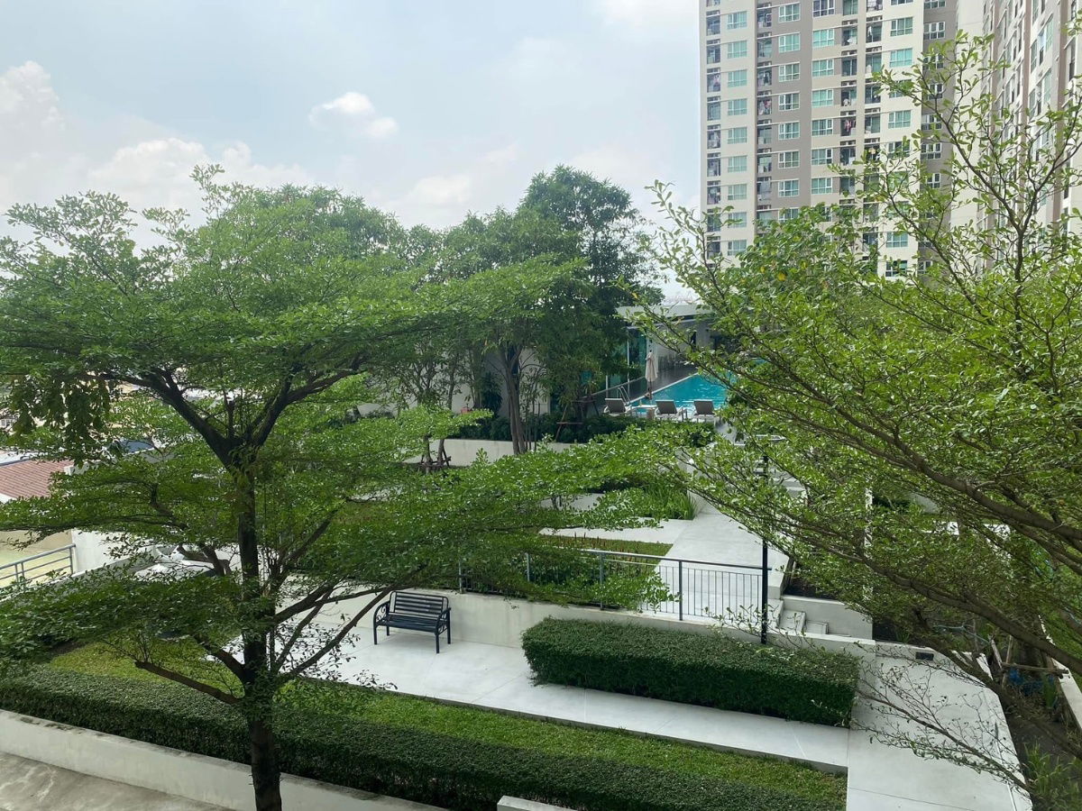 รูป 🌿 WS1506 [เช่า] Aspire พระราม 4  🚶‍♂️ ใกล้ BTS เอกมัย 💸 เช่าเพียง 13,000 บาท/เดือน - รูปที่ 12/12