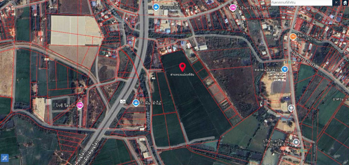 picture Urgent sale, land in prime location. Beautiful plot of land with a bright future, special price, Phitsanulok Province. - 4/6