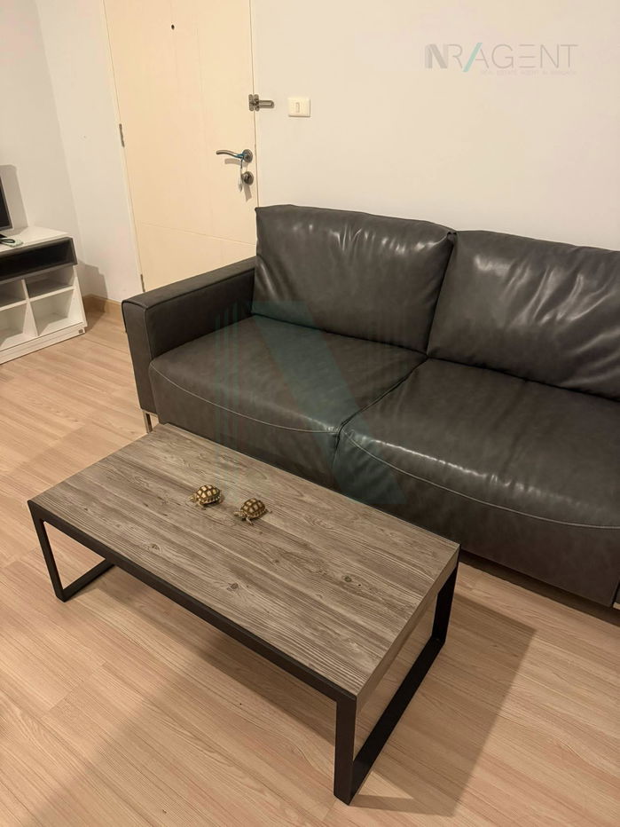 picture 🎉 For Rent Condo NICHE MONO RATCHAVIPHA Building A, Floor 22,1 bed room, Room size 34.00 sqm - 3/8