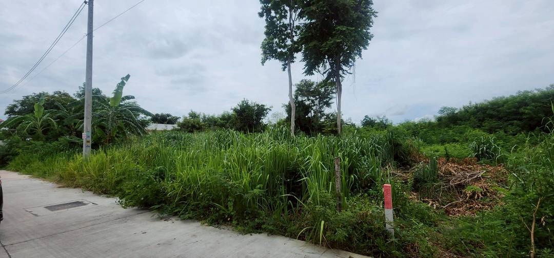 picture Land Jomtien Pattaya Beach Side in Soi Chaiyapruek and Soi Wat Boonkanjana  409square meters - 3/12