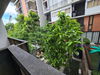 listing thumbnail image 21