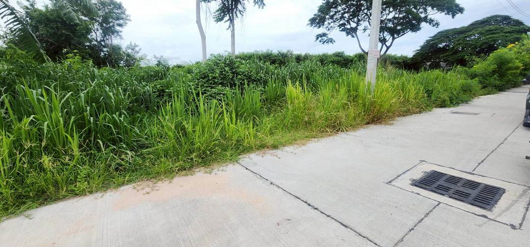 picture Land Jomtien Pattaya Beach Side in Soi Chaiyapruek and Soi Wat Boonkanjana  409square meters - 6/12