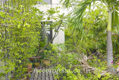 picture 🔼🔽 AccomA 📩 Penthouse 3 BR Condominium @Baan Ploenchit (20998) - 9/9