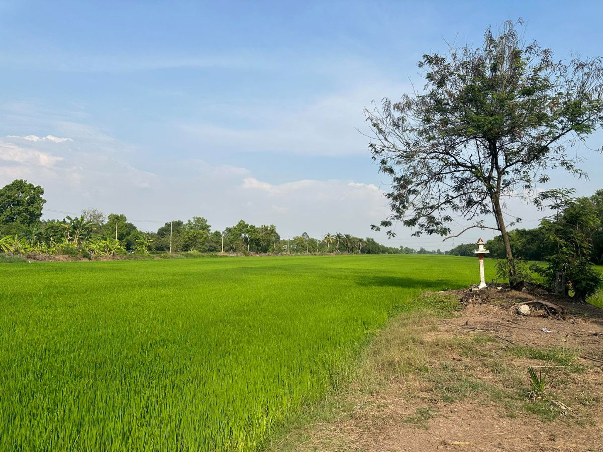 picture 📢 For sale 🔥 60 rai of land on the Rangsit-Thanyaburi Khlong 12 canal road 💰 Price 678,000 baht per rai, free transfer 🔥 - 3/9