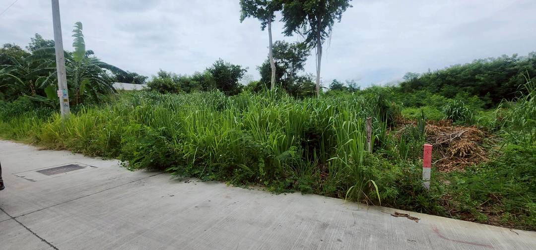 picture Land Jomtien Pattaya Beach Side in Soi Chaiyapruek and Soi Wat Boonkanjana  409square meters - 5/12