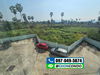 listing thumbnail image 12