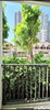 listing thumbnail image 12