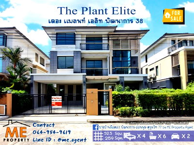 Houses for sale สถาบันเทคโนโลยีไทย-ญี่ปุ่น : For Sale New Single House The Plant Elite Pattanakarn 38 New House, Near Thonglor-Ekkamai-Sukhumvit. Call 085-161-9569 (BT19-52)
