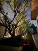 listing thumbnail image 12