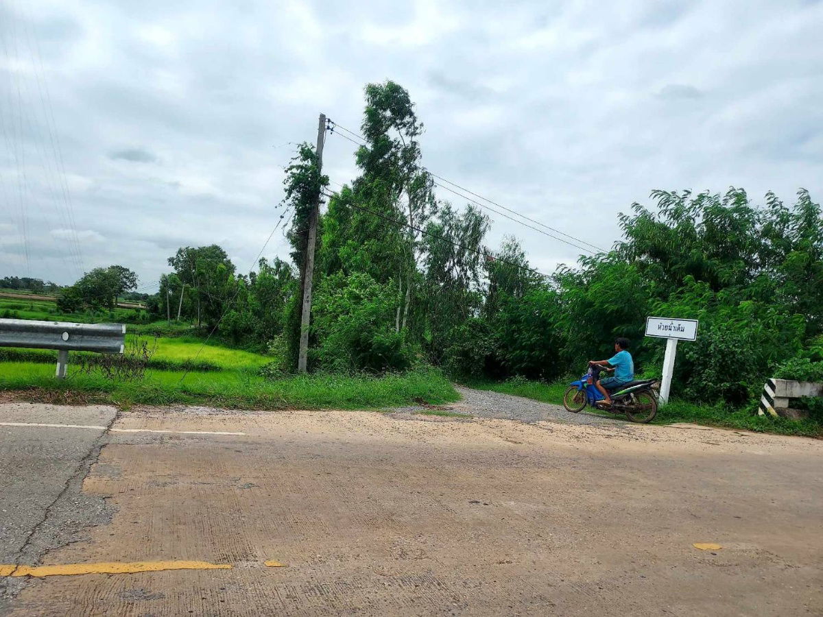 รูป ขายที่ดิน 4 ไร่ 43 ตรว. เป็นสี่เหลี่ยมผืนผ้า - รูปที่ 2/6