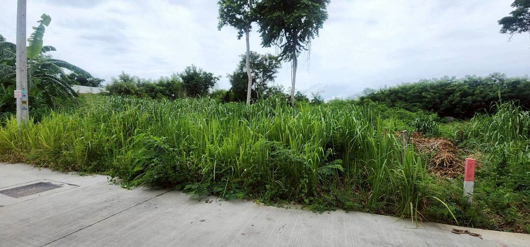 picture Land Jomtien Pattaya Beach Side in Soi Chaiyapruek and Soi Wat Boonkanjana  409square meters - 12/12