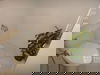 listing thumbnail image 37
