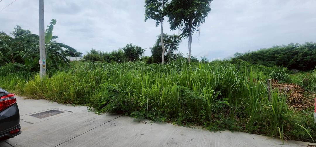 picture Land Jomtien Pattaya Beach Side in Soi Chaiyapruek and Soi Wat Boonkanjana  409square meters - 2/12