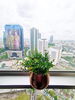 listing thumbnail image 4
