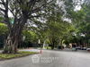listing thumbnail image 12