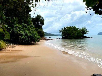 Land for sale Phangnga : Land for sale by the sea with title deed, good view