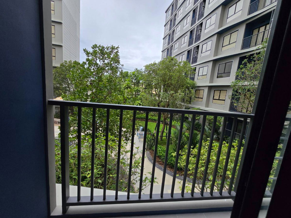 รูป ให้เช่า / rent Dcondo reef ภูเก็ต 33,000/เดือน - รูปที่ 9/11