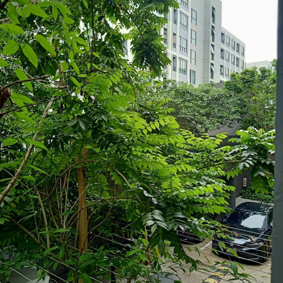picture G8560💛中国客户，请加微信。(在联系方式的旁边) 🅵🅾🆁 🆁🅴🅽🆃 Atmoz Kanaal Rangsit 🅻🅸🅽🅴 ❤️💜@condopremium💜❤️Ready to move in ⬛🟨 📞 065 695 3645🟨⬛ - 21/25