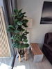 listing thumbnail image 6