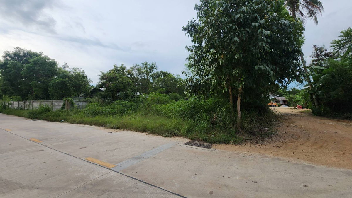 รูป ที่ดินใกล้เลียบทางรถไฟพะทยา ซอยสุขสมบูรณ์ ใกล้คาเฟ่กระต่ายและสำนักปฏิบัติธรรม - รูปที่ 4/7