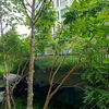 listing thumbnail image 21