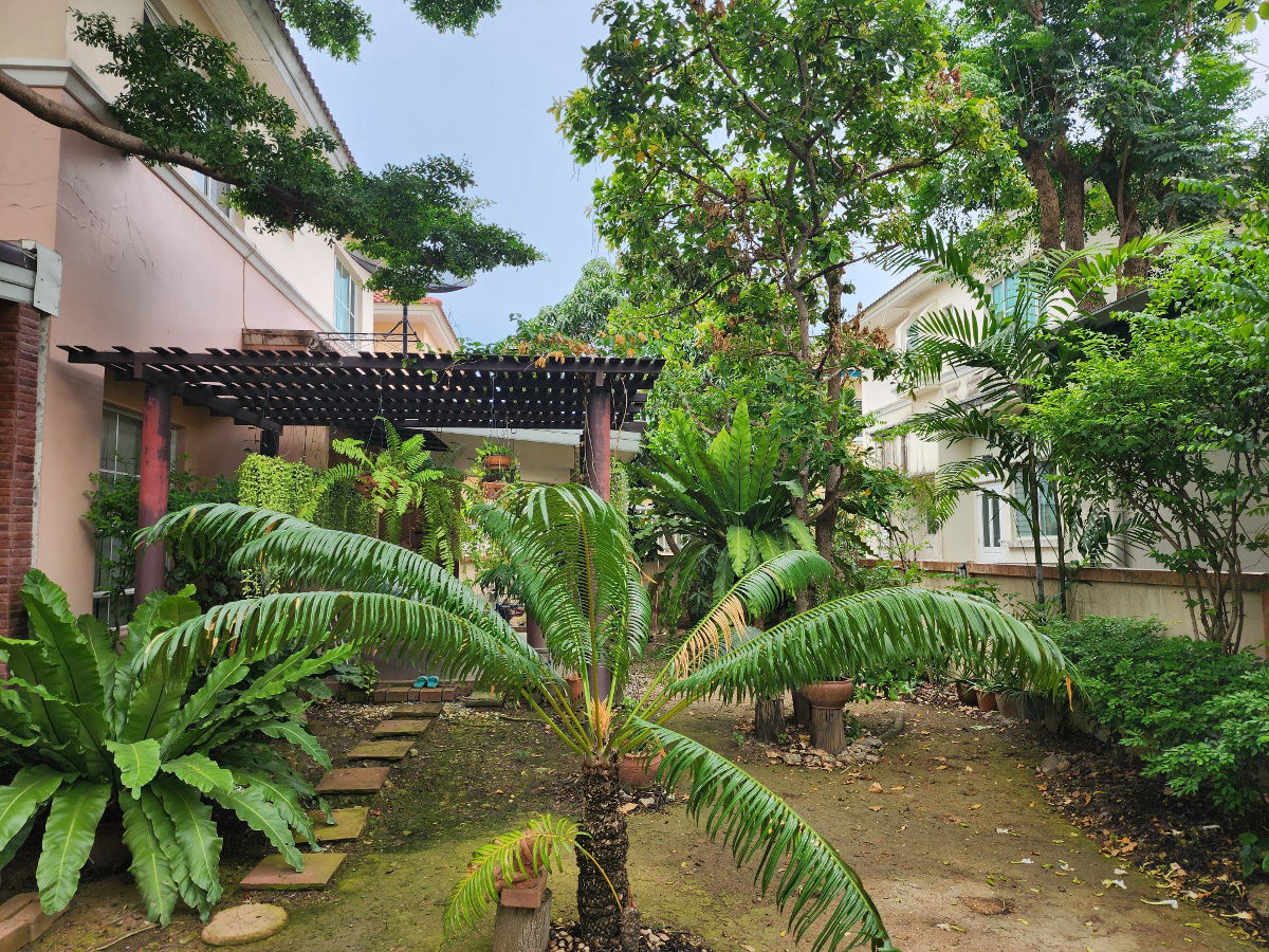 รูป บ้านเดี่ยว 2 ชั้น เดินทางสะดวก - รูปที่ 4/4