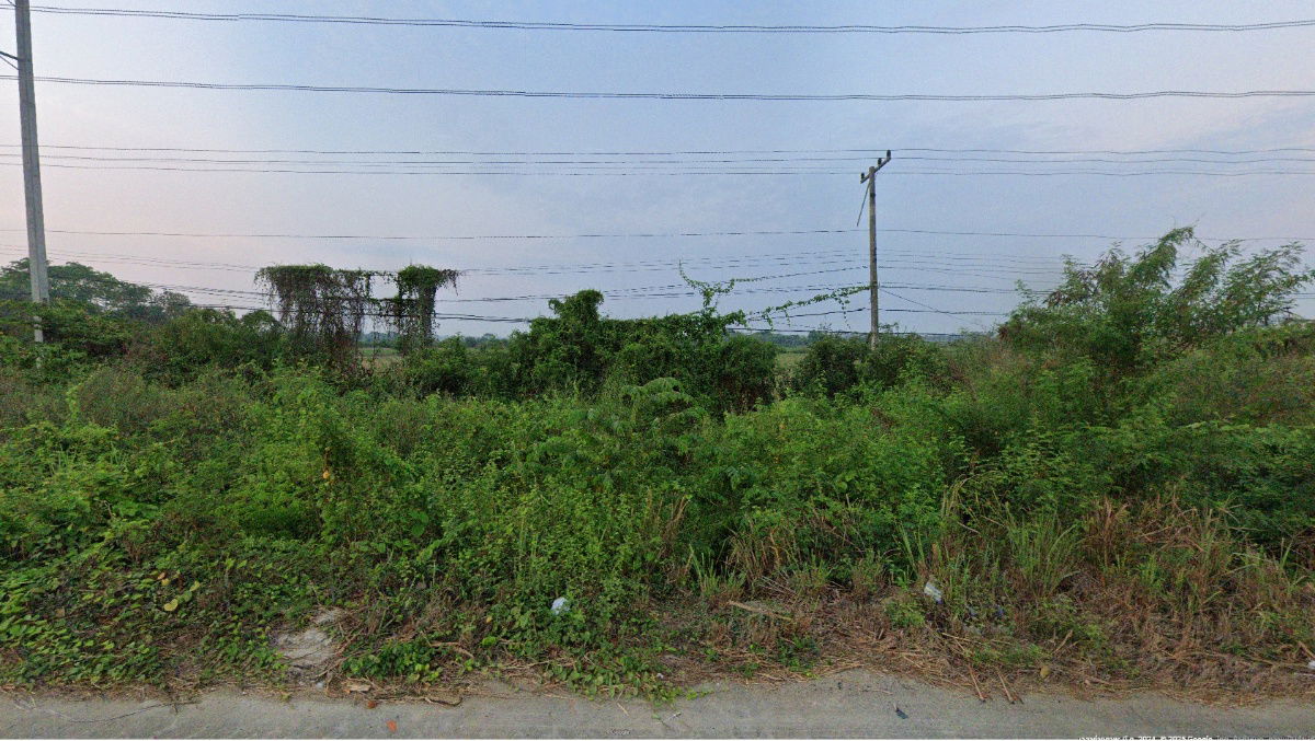 picture ✅Land for sale 37 rai Green area, width 155 m. Road 346 Pathum Thani-Bang Len Tambon Thung Luk Nok, Amphoe Kamphaeng Saen, Nakhon Pathom  - 2/6