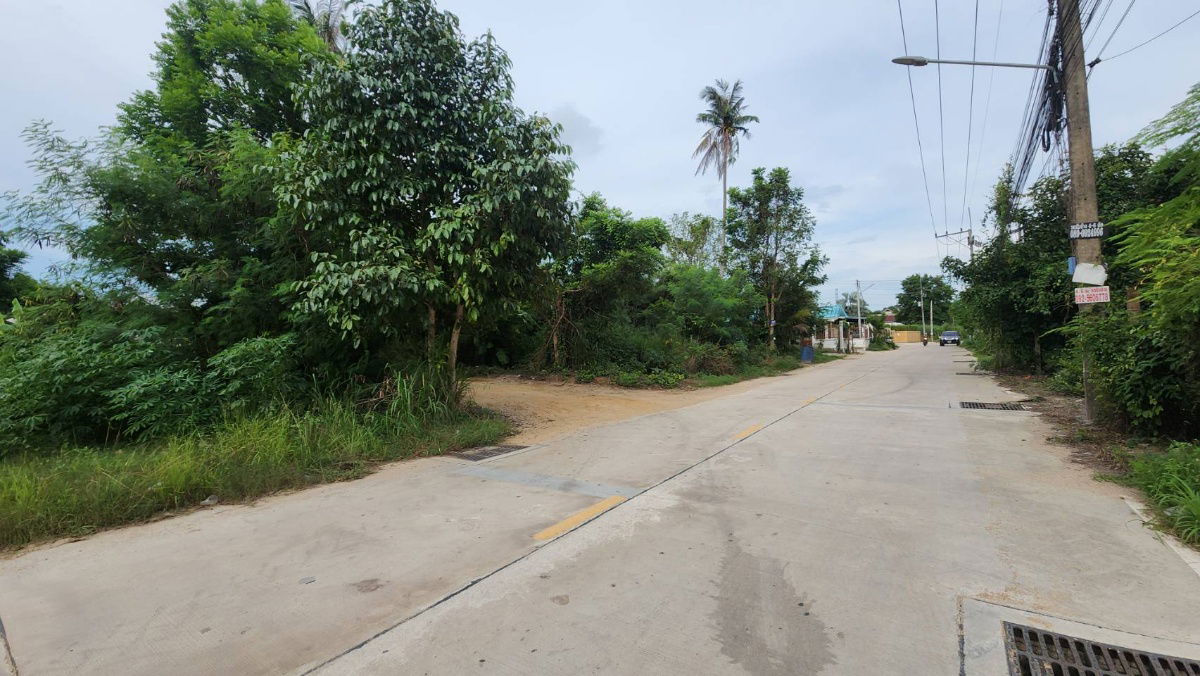 รูป ที่ดินใกล้เลียบทางรถไฟพะทยา ซอยสุขสมบูรณ์ ใกล้คาเฟ่กระต่ายและสำนักปฏิบัติธรรม - รูปที่ 2/7