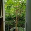 listing thumbnail image 19