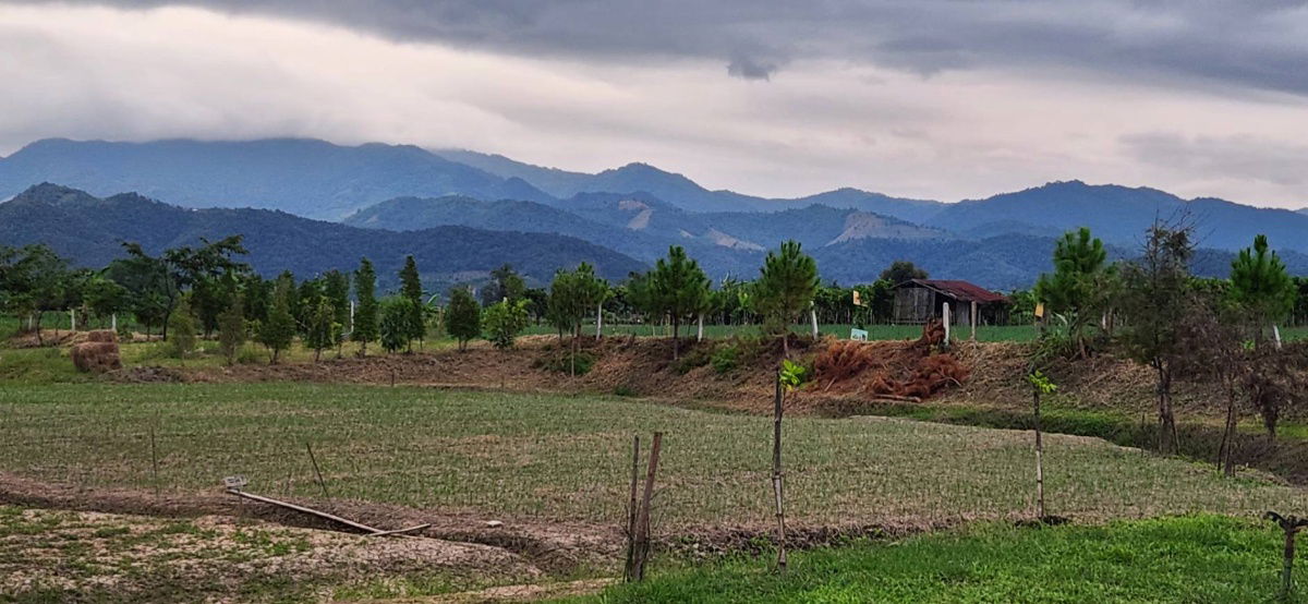 picture Land for Sale in Chiangmai near the Mountian  - 7/11