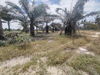 listing thumbnail image 4