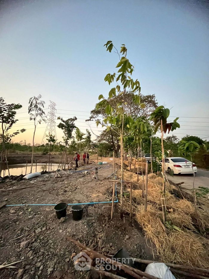 รูป ที่ดินสำหรับปล่อยขาย 1,428 ตารางเมตร แถว ใน ทรายกองดินใต้ (ID 1466407) - รูปที่ 3/5