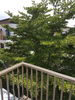 listing thumbnail image 65
