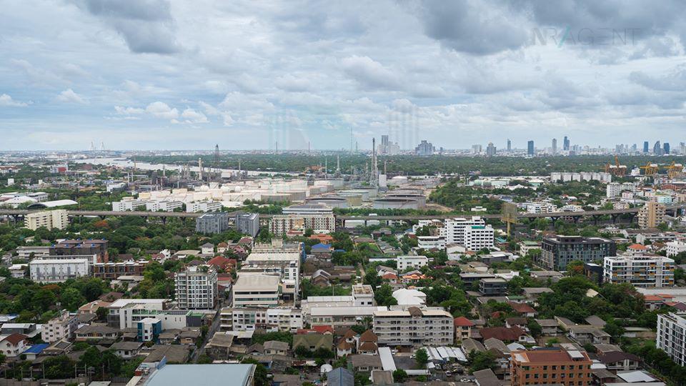 รูป ให้เช่าคอนโด เดอะ ไลน์ สุขุมวิท 101 อาคาร 1 ชั้น 24 1 ห้องนอน ขนาด 33.00 ตรม ใกล้ รร.พิพัฒนา - รูปที่ 8/8