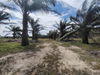 listing thumbnail image 2