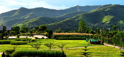 Land for sale Mae Ai Chiang Mai : Land for Sale in Chiangmai near the Mountian 