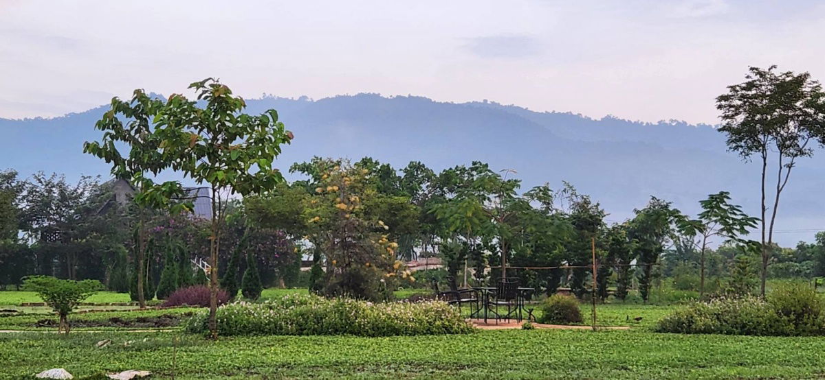 picture Land for Sale in Chiangmai near the Mountian  - 6/11