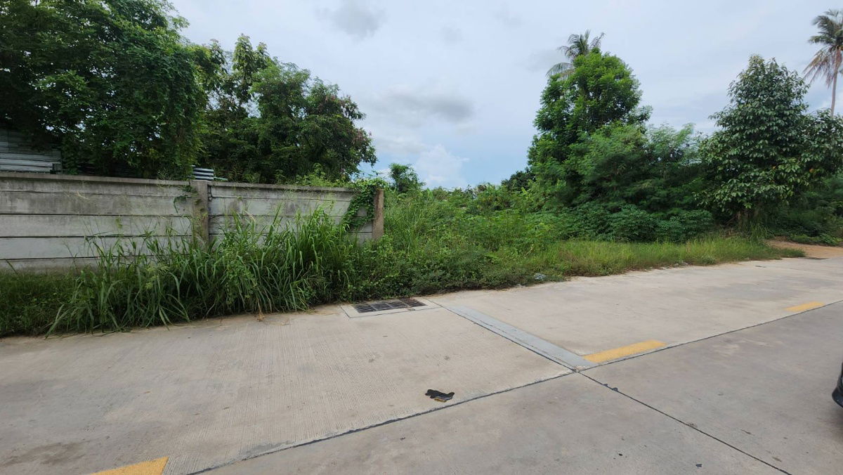 รูป ที่ดินใกล้เลียบทางรถไฟพะทยา ซอยสุขสมบูรณ์ ใกล้คาเฟ่กระต่ายและสำนักปฏิบัติธรรม - รูปที่ 6/7