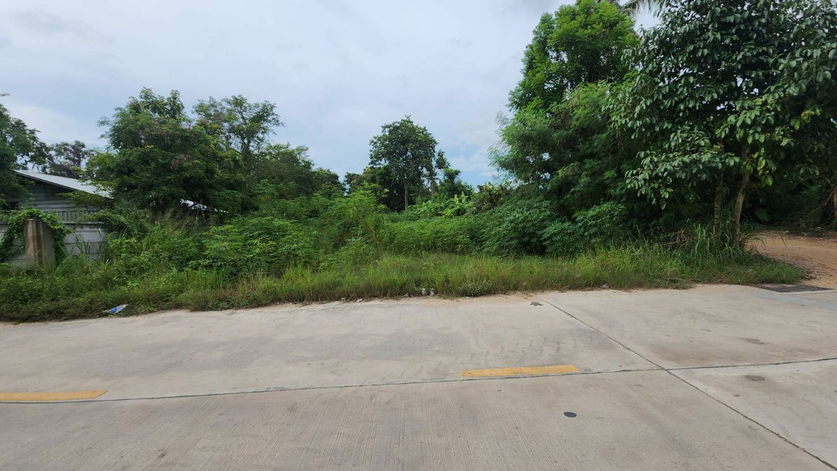 รูป ที่ดินใกล้เลียบทางรถไฟพะทยา ซอยสุขสมบูรณ์ ใกล้คาเฟ่กระต่ายและสำนักปฏิบัติธรรม - รูปที่ 7/7