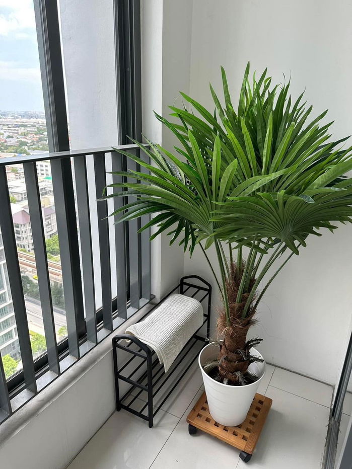 picture WS1517 🏙️ For rent Ideo Mobi Sukhumvit 81 in the heart of Sukhumvit, next to BTS On Nut! Only 17,000 baht/month - 6/17