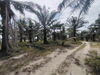 listing thumbnail image 4