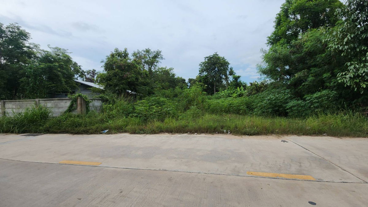 รูป ที่ดินใกล้เลียบทางรถไฟพะทยา ซอยสุขสมบูรณ์ ใกล้คาเฟ่กระต่ายและสำนักปฏิบัติธรรม - รูปที่ 5/7