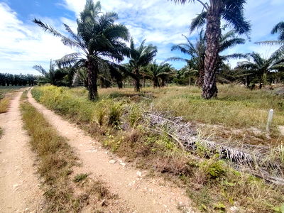 Land for sale Thap Tai, Prachuap Khiri Khan : 1-0-0 Rai | Home Building Plot  Convenient Relaxing Location!