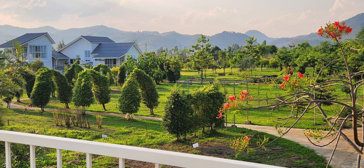 picture Land for Sale in Chiangmai near the Mountian  - 5/11
