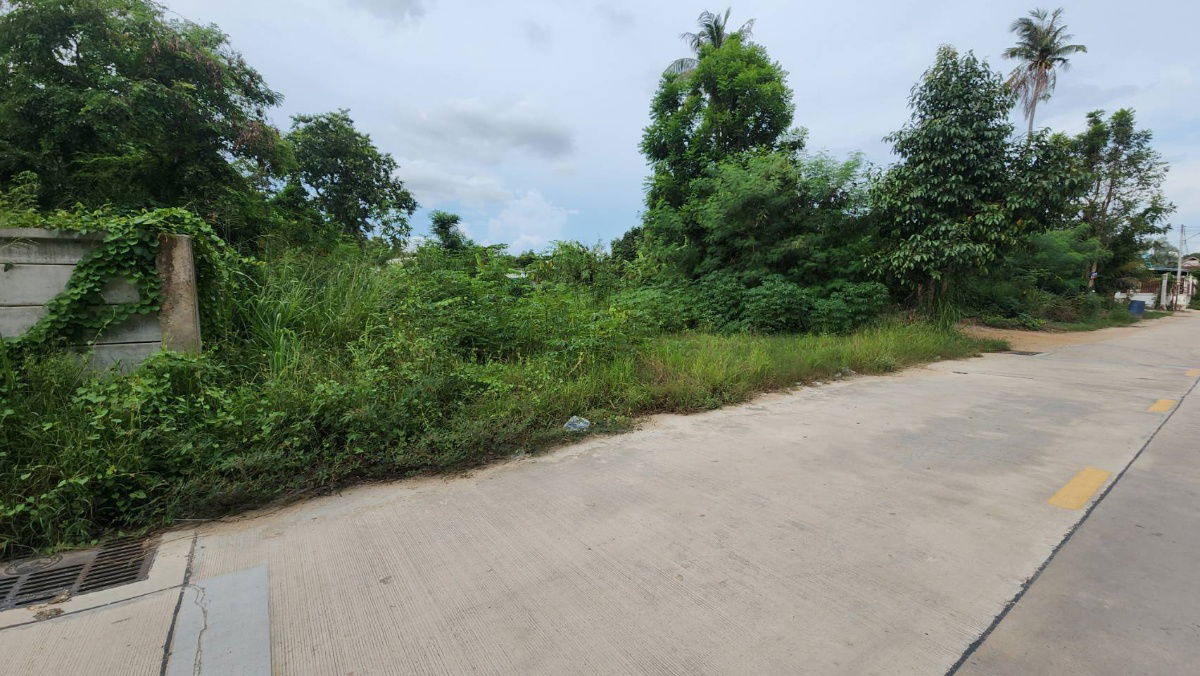รูป ที่ดินใกล้เลียบทางรถไฟพะทยา ซอยสุขสมบูรณ์ ใกล้คาเฟ่กระต่ายและสำนักปฏิบัติธรรม - รูปที่ 3/7