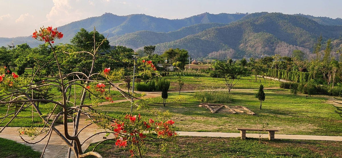 picture Land for Sale in Chiangmai near the Mountian  - 4/11