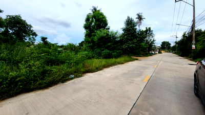 ที่ดิน บางละมุง ชลบุรี : ที่ดินใกล้เลียบทางรถไฟพะทยา ซอยสุขสมบูรณ์ ใกล้คาเฟ่กระต่ายและสำนักปฏิบัติธรรม