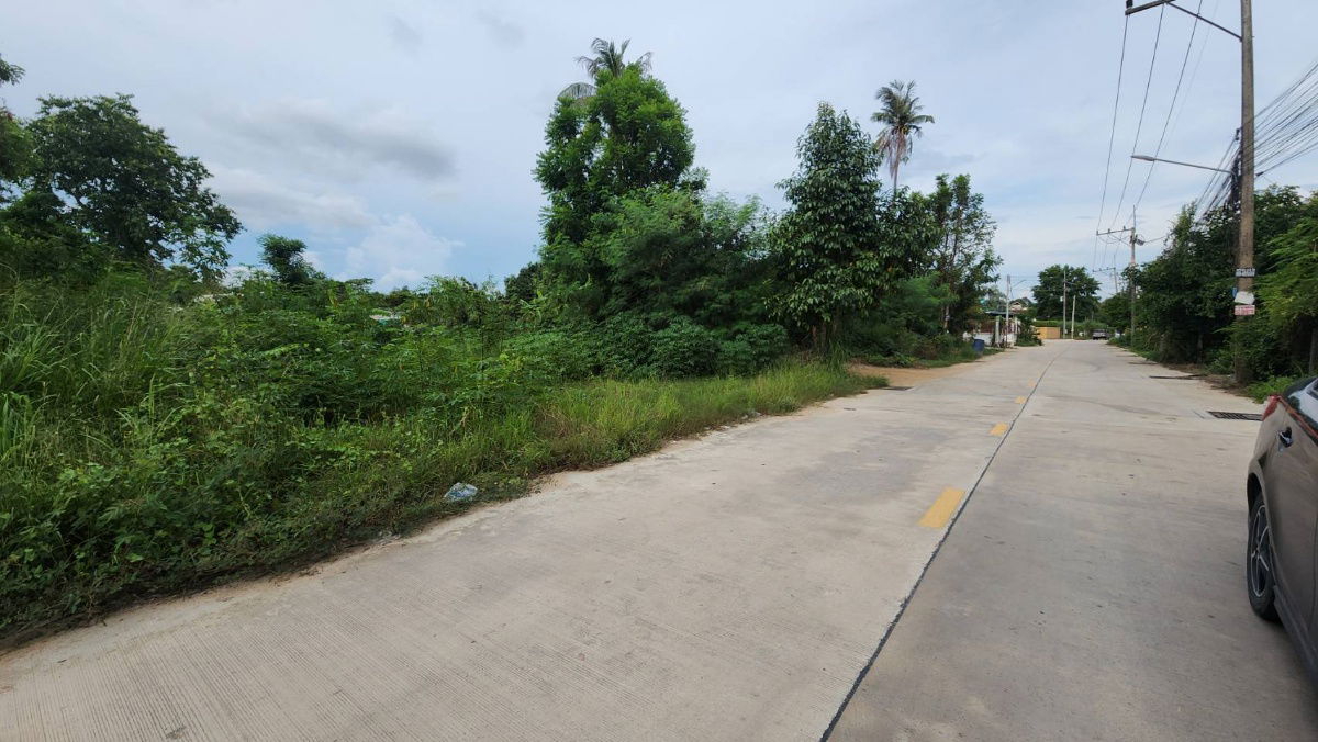 รูป ที่ดินใกล้เลียบทางรถไฟพะทยา ซอยสุขสมบูรณ์ ใกล้คาเฟ่กระต่ายและสำนักปฏิบัติธรรม - รูปที่ 1/7